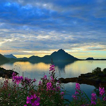 Skjellbogen Hyttegrend Sortland Dış mekan fotoğraf