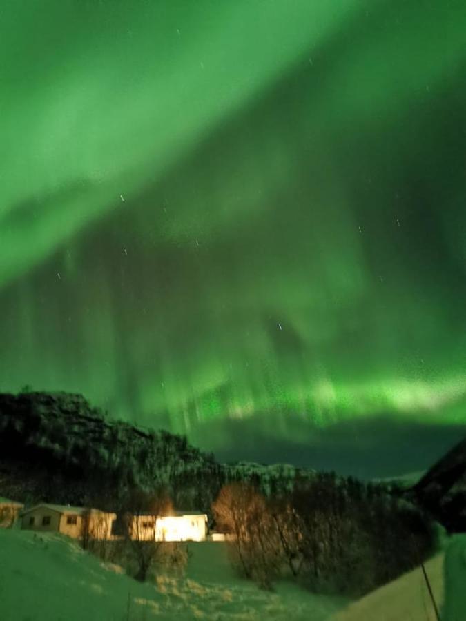 Skjellbogen Hyttegrend Sortland Dış mekan fotoğraf