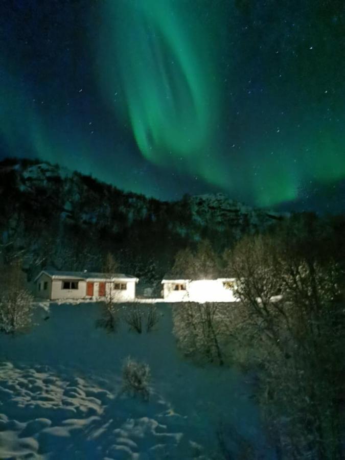 Skjellbogen Hyttegrend Sortland Dış mekan fotoğraf
