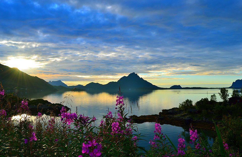 Skjellbogen Hyttegrend Sortland Dış mekan fotoğraf