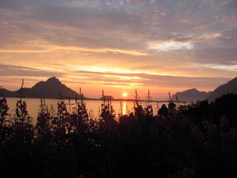 Skjellbogen Hyttegrend Sortland Dış mekan fotoğraf